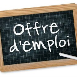 URGENT- RECHERCHE MAITRE NAGEUR SAUVETEUR + ANIMATEURS SERVICE JEUNESSE