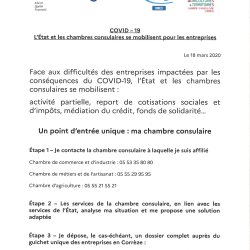 MESURES D'AIDES AUX ENTREPRISES