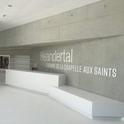 OUVERTURE DU SITE NEANDERTAL 