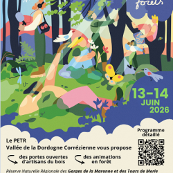 NUITS DES FORÊTS